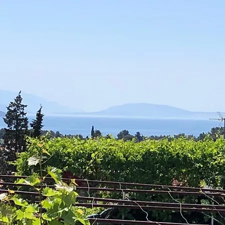 Appartement Dusanka *