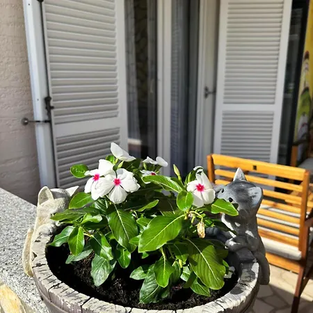 Appartement Dusanka *