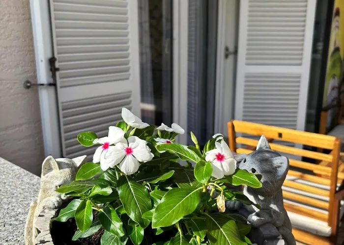Apartmán Dusanka *